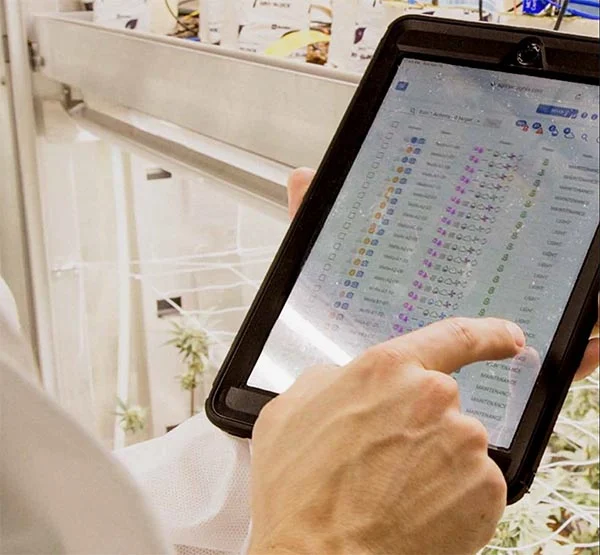 insights Grow Insights Cannabis