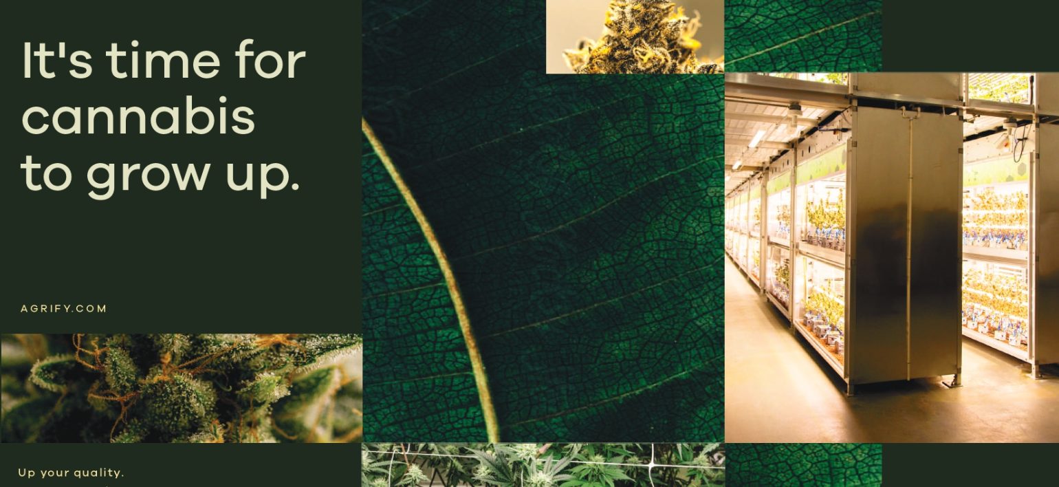 Blog_Background_Image_1 Blog_Background_Image_1