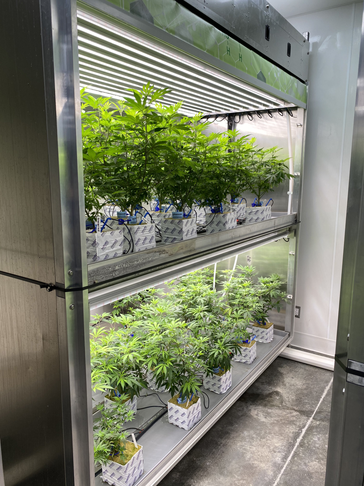 Veg_Plants_in_VFU_(1) Veg_Plants_in_VFU_(1)