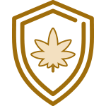 icon-sm-safety-compliance safety compliance icon