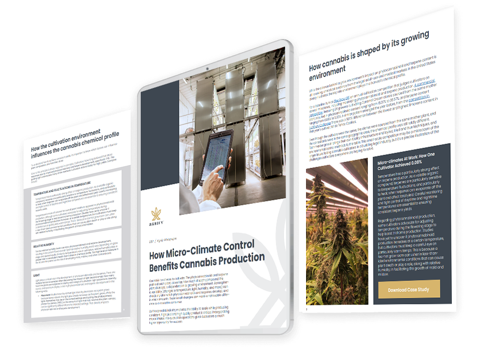 Case-study-1-preview Case-study-1-preview