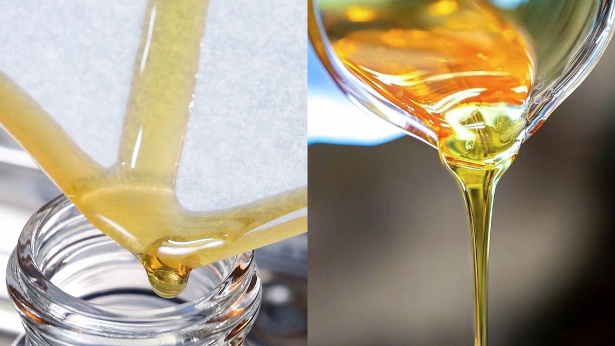 Rosin vs. Distillate (Complete Guide)