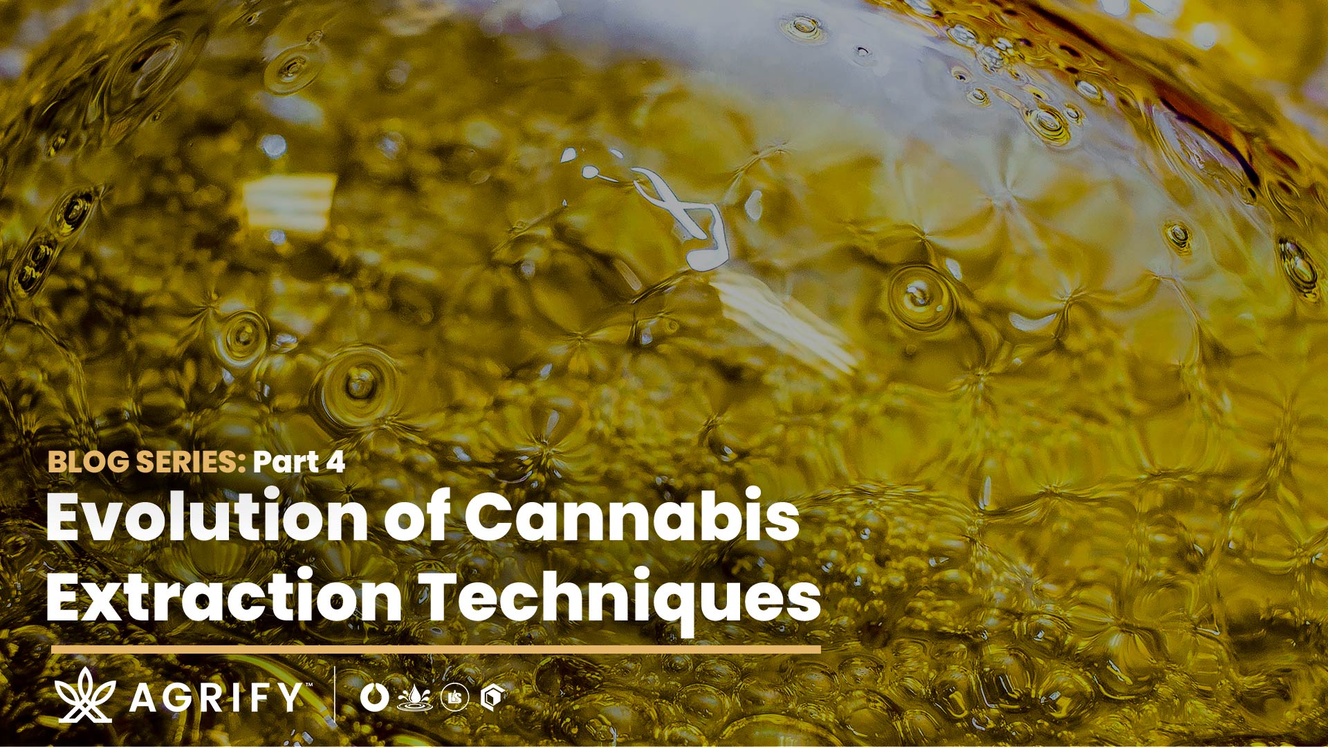 Eextraction Techinnques