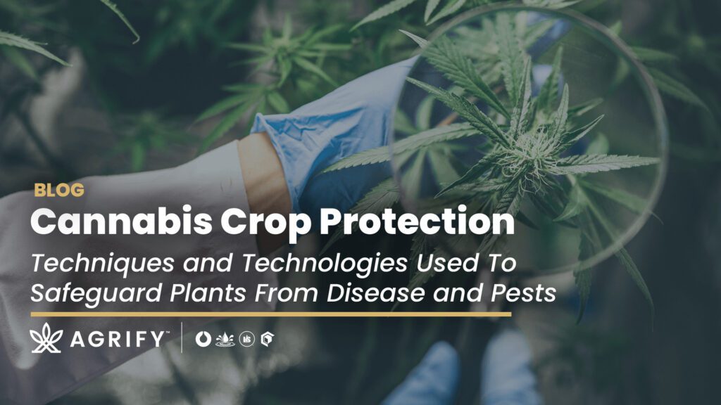 Cannabis Crop Protection and Integrated Pest Management
