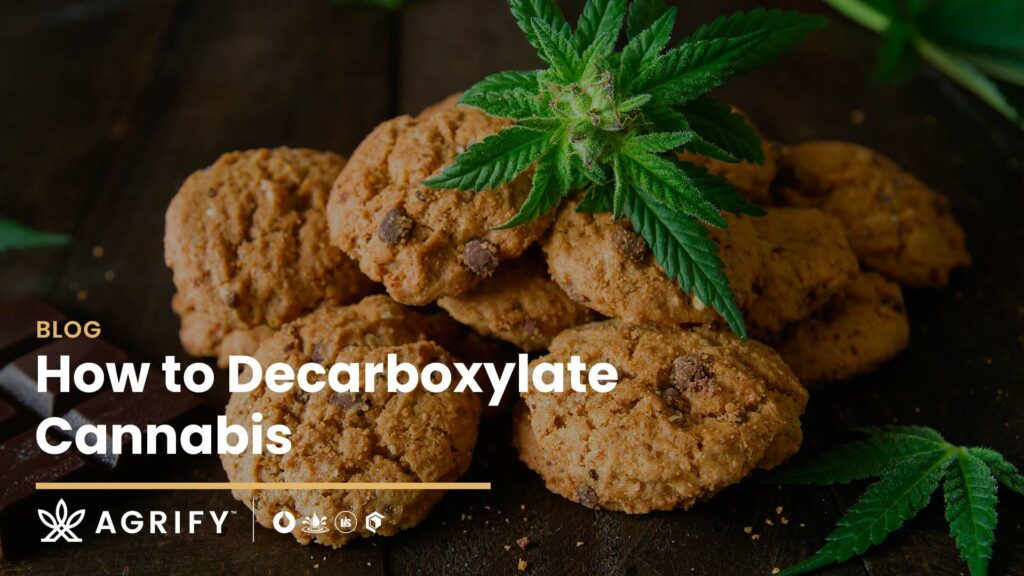 How to Decarboxylate Cannabis
