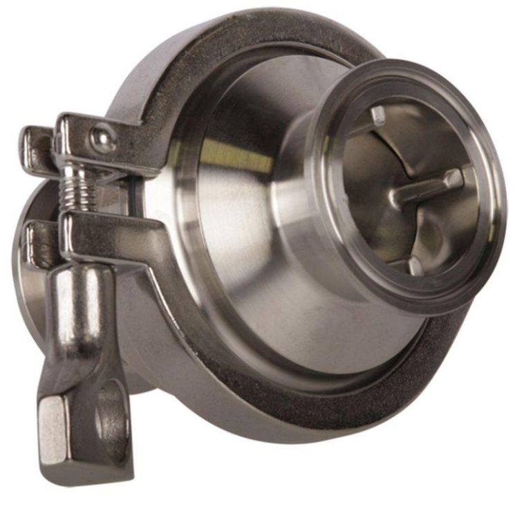 Bruteless Check Valve