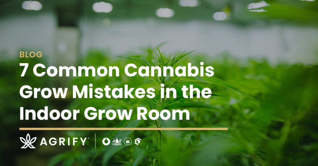 7 Common Cannabis Grow Mistakes Feature