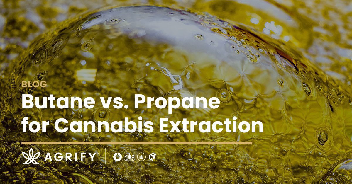 Butane vs. Propane Extraction Cannabis