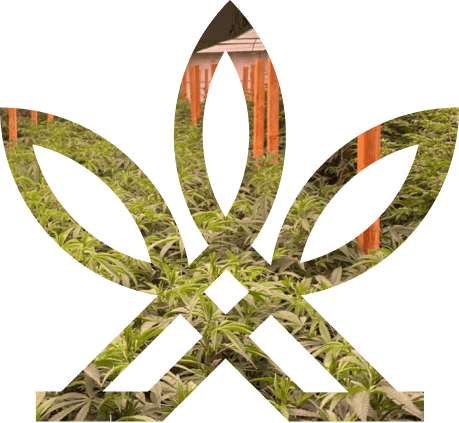 Agrify Img Agrify Img