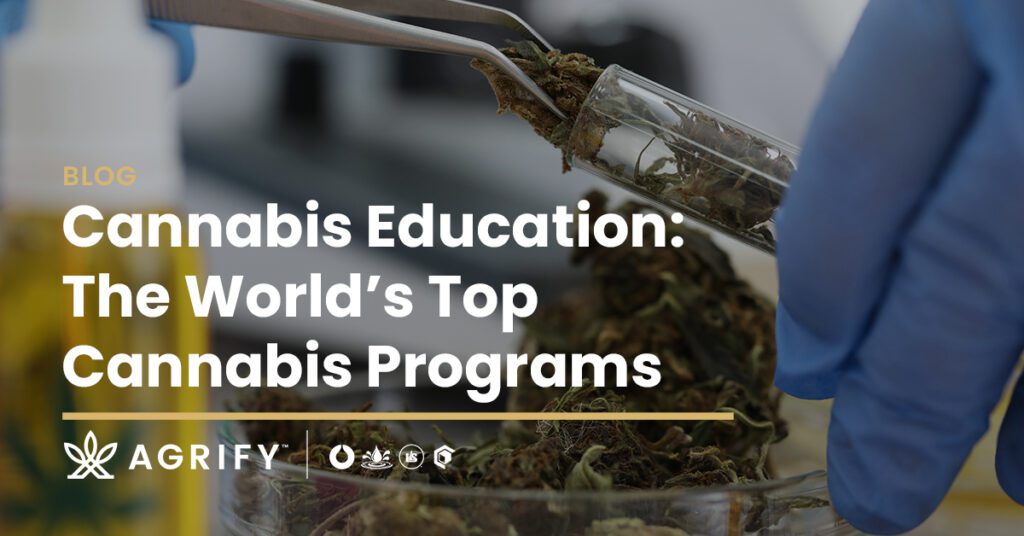Cannabis Education - Complete Guide